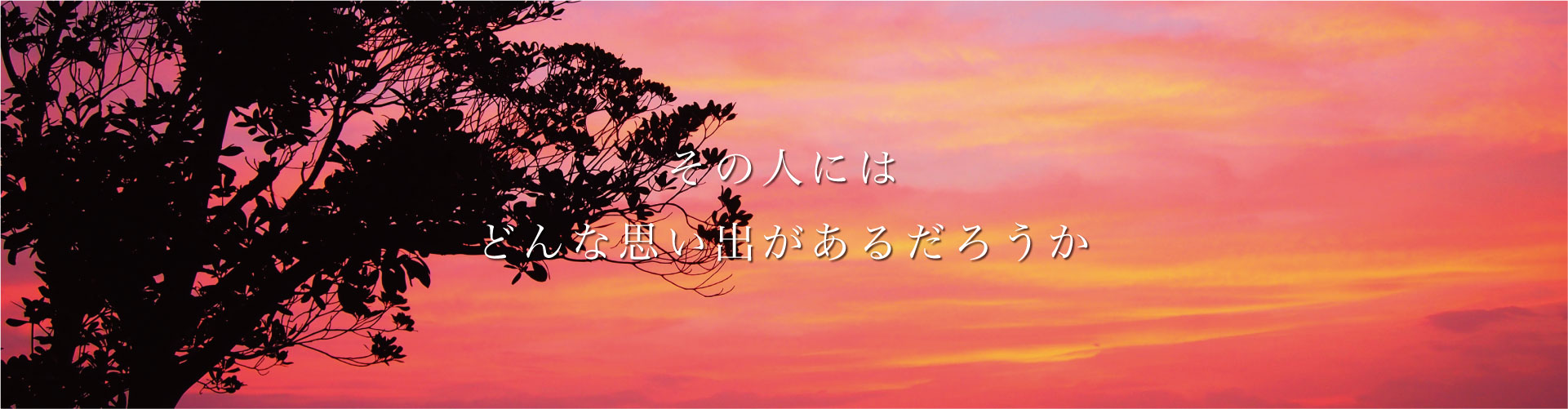 ソラノイロ